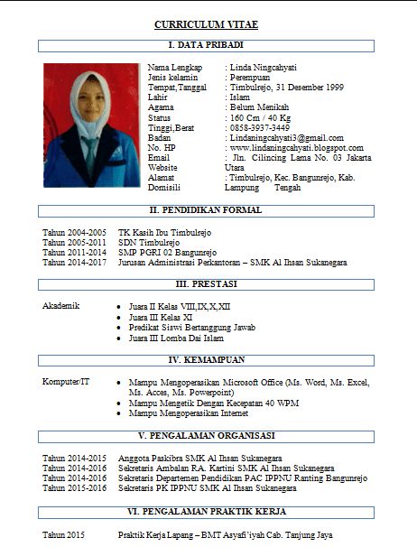 Contoh CV Format Doc